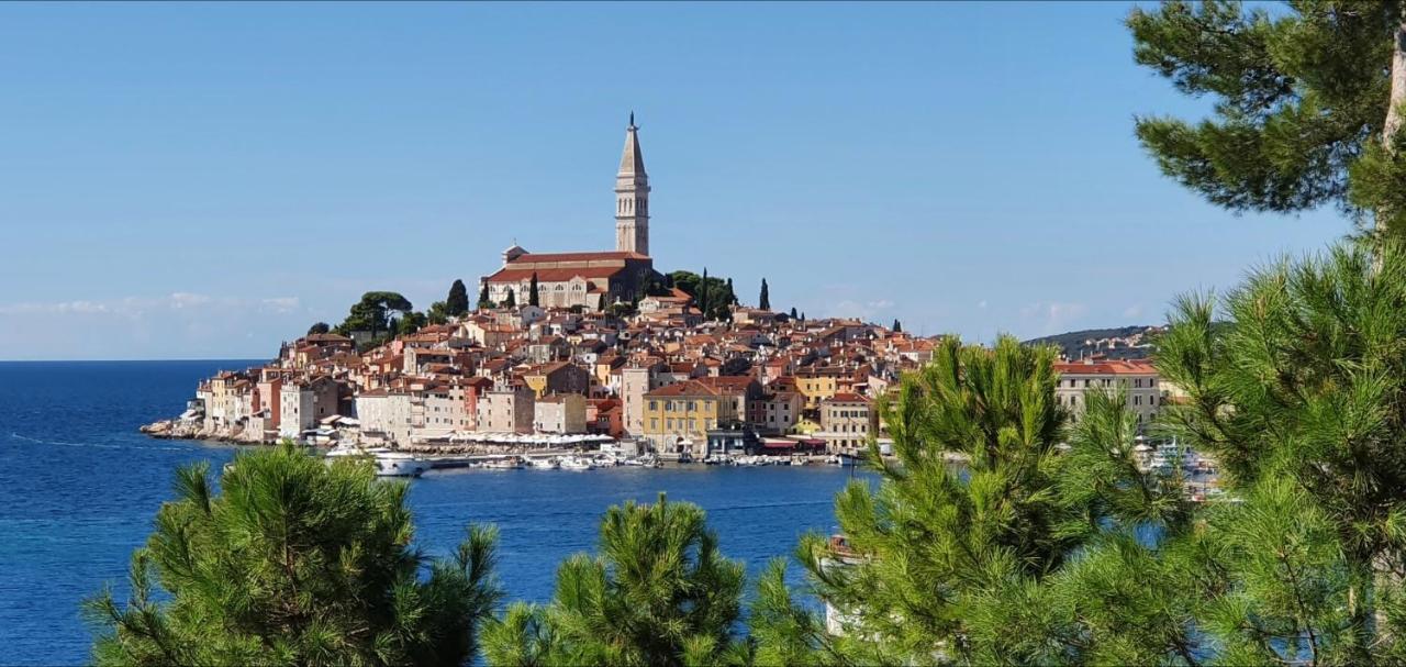 B&B Palace Basilico 1580. Rovinj Eksteriør billede